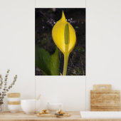 Skunk Cabbage - Kunstdrucken Poster (Küche)