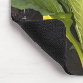 Skunk Cabbage - Mousepad (Ecke)
