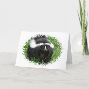 Skunk Foto Grußkarte Karte