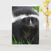 Skunk Foto Grußkarte Karte (Gelbe Blume)