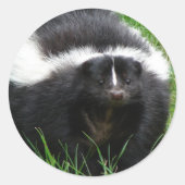Skunk Foto Sticker (Vorderseite)