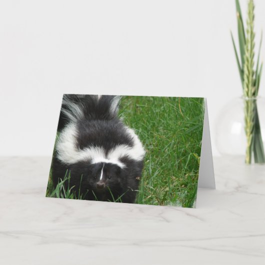 Skunk Greeting Card Karte (Vorderseite)