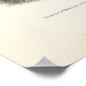 Skunk-Großschwanz, Hooded Skunk, von Audubon Poster (Ecke)