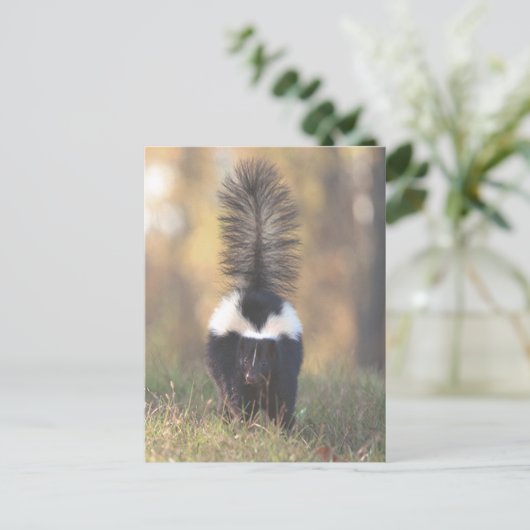 Skunk Postkarte (Stehend Vorderseite)