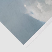 Skunk, Raccoon, Fox Decoupage Seidenpapier (Ausschnitt)