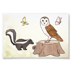 Skunk und Eule Fotodruck
