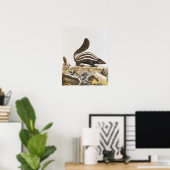 Skunk von "Histoire Naturelle", Poster (Heimbüro)