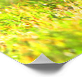 Skunk You Stink Poster (Ecke)