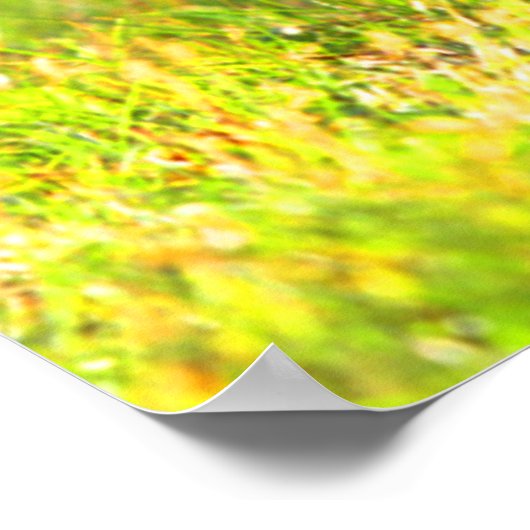 Skunk You Stink Poster (Ecke)