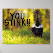 Skunk You Stink Poster (Vorne)