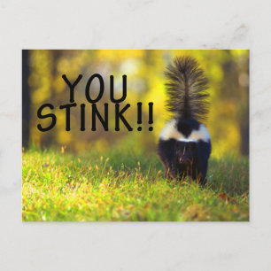 Skunk You Stink Postkarte