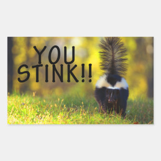 Skunk You Stink Rechteckiger Aufkleber