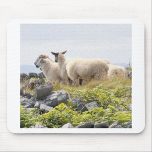 Skurrile Designs - Schafe auf einem Feld Mousepad