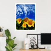 Sky and Bloom , Poster (Heimbüro)