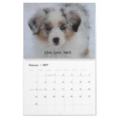 Sky Blue Aussies 2020 Kalender (Feb 2027)