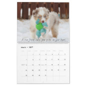Sky Blue Aussies 2020 Kalender (Mär 2027)