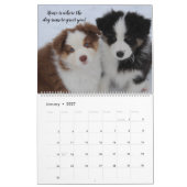 Sky Blue Aussies 2020 Kalender (Jan 2027)