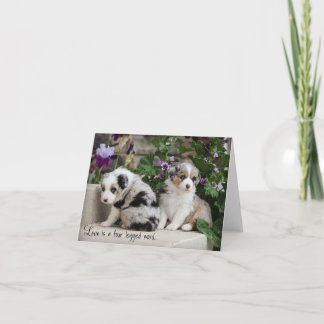 Sky Blue Aussies Notecard Welppies 1 Karte