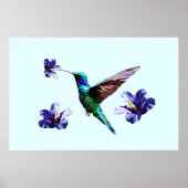 Sky Blue Gorgeous Hummingbird/Hibiskus Poster (Vorne)