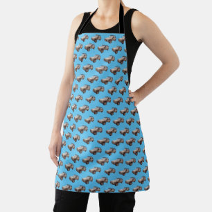 Sky Blue Vier-Rad-Laufwerk Schürze