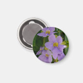 Sky Blume Tropischer Lila Blumen Magnet (Vorderseite/Rückseite)
