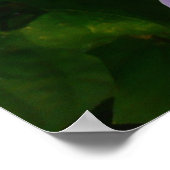 Sky Blume Tropischer Lila Blumen Poster (Ecke)