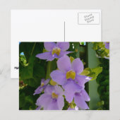 Sky Blume Tropischer Lila Blumen Postkarte (Vorne/Hinten)