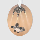 Sky Crane-Manöver während des Abstiegs der Mars Ornament (Vorderseite)