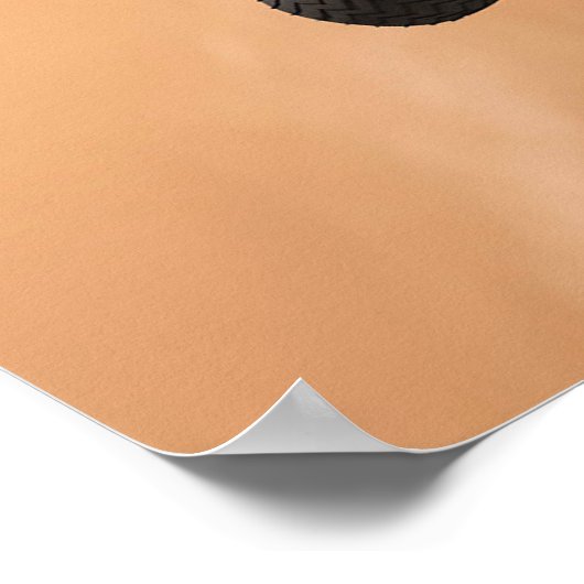 Sky Crane-Manöver während des Abstiegs der Mars Poster (Ecke)