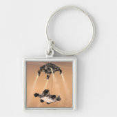 Sky Crane-Manöver während des Abstiegs der Mars Schlüsselanhänger (Vorne)