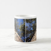 Sky durch Pine Boughs betrachten Kaffeetasse (Mittel)