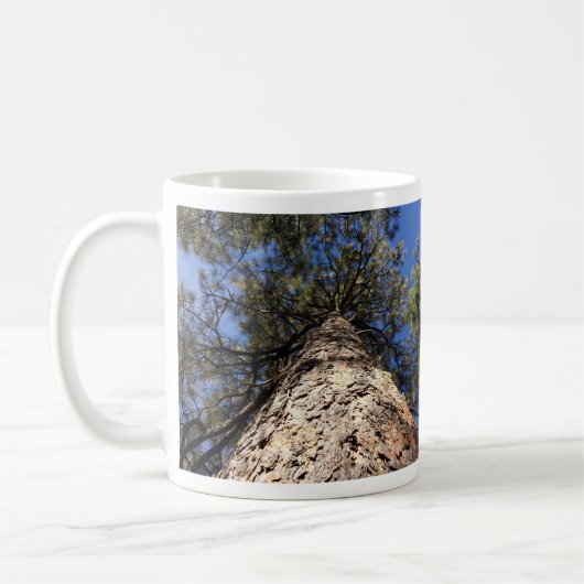 Sky durch Pine Boughs betrachten Kaffeetasse (Links)