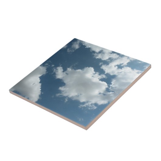 Sky Fliese (Seite)