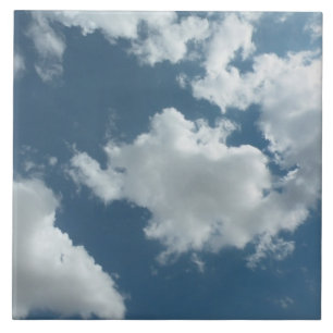 Sky Fliese