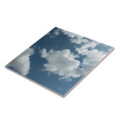 Sky Fliese (Seite)