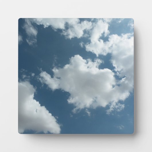 Sky Fotoplatte (Vorderseite)