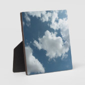 Sky Fotoplatte (Vorderseite)