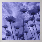 Sky Gazers Poster (Vorne)