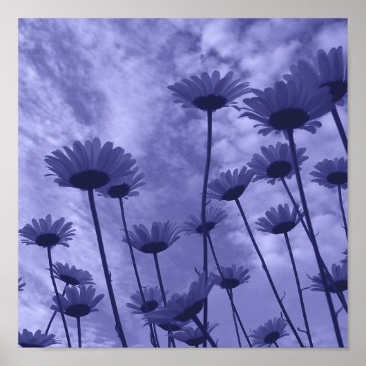 Sky Gazers Poster (Vorne)