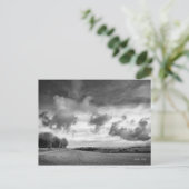 Sky Lambs, Postkarte von Wiltshire (Stehend Vorderseite)