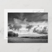 Sky Lambs, Postkarte von Wiltshire (Vorne/Hinten)