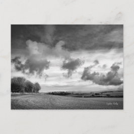 Sky Lambs, Postkarte von Wiltshire