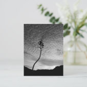Sky Landscape Postkarte (Stehend Vorderseite)