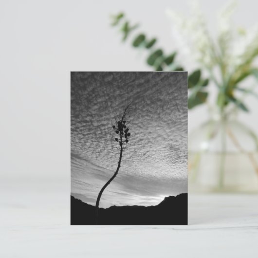 Sky Landscape Postkarte (Stehend Vorderseite)