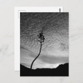 Sky Landscape Postkarte (Vorne/Hinten)