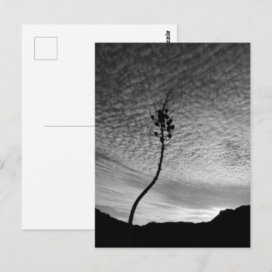 Sky Landscape Postkarte (Vorne/Hinten)