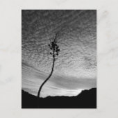 Sky Landscape Postkarte (Vorderseite)