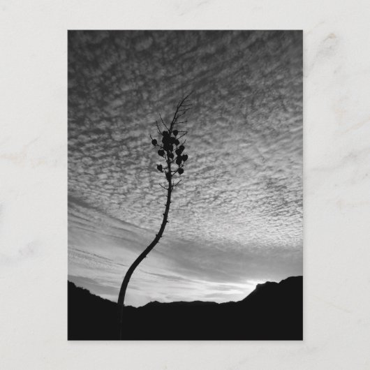 Sky Landscape Postkarte (Vorderseite)