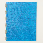 Sky Leder Planer (Vorderseite)