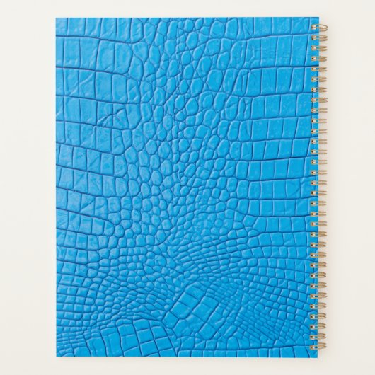 Sky Leder Planer (Rückseite)